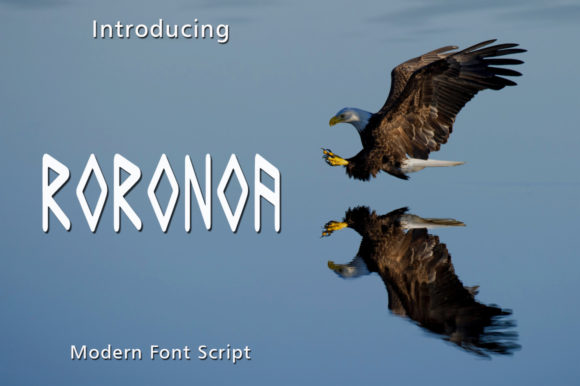 Roronoa: A Display Font That Elevates Brand Identity